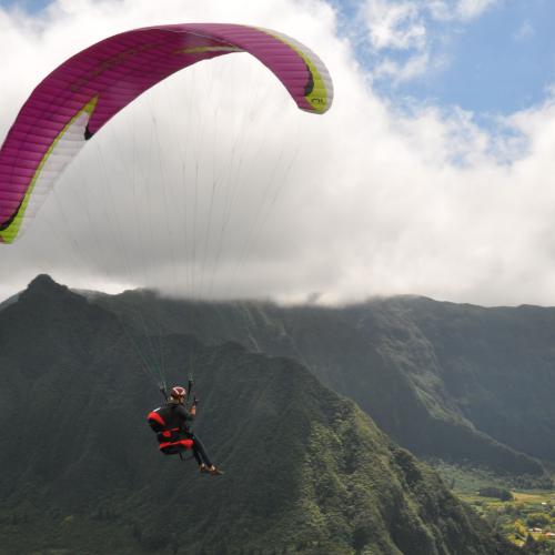 Piton Rond - Virgnie